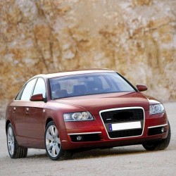 Audi A6 2005-2008 Isıtmalı Sol Ön Cam Fiskiye Memesi 8J0955987G
