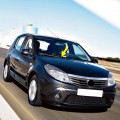 Dacia Sandero 2008-2012 Silecek Kolu Ön Cam Sağ Yolcu Tarafı
