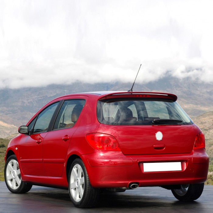 Peugeot 307 HB 2005-2008 Arka Cam Silecek Kolu Takımı 6429.T1