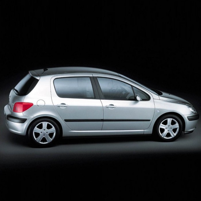 Peugeot 307 HB Makyajsız 2001-2004 Ön Cam Arka Cam Silecek