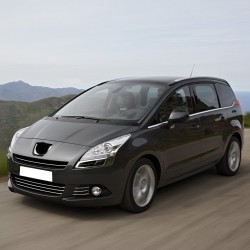 Peugeot 5008 2010-2013 Cam Su Fiskiye Depo Kapağı 643242