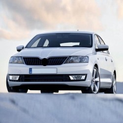 Skoda Rapid 2012-2021 Ön Cam Fiskiye Memesi 6E0955985B